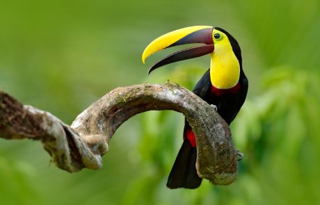 shutterstock_547095919