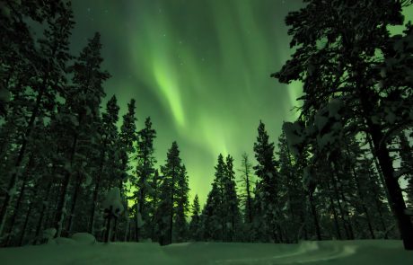 Colourful,Aurora,Borealis,Above,Trees,And,Snowmobile,Track,Going,Through